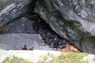 BOSSDUNK: Det er sannsynlegvis mange turgåarar som vil setja pris på at det kjem bossdunkar på Ytre Moa. I dag vert posar med hundebæsj kasta under ein stein.