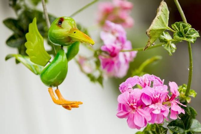 PYNT: Ein liten fugl har fått plass som ekstra dekorasjon mellom alle blomstrane.