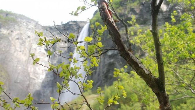 UTLADALEN: I årets utgåve av Målrock kan du også vera med på turar rundt om i Årdal. Bilete er frå Vettisfossen i Utladalen. Arkivfoto