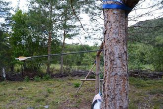 KRAFT: Pilene brukar dei oppatt. Denne pila er skote frå 30 meters hald, og står no kring 6 cm inn i treet.