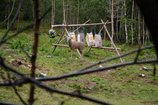 ÅTAK: Ein levande hjort gjekk til åtak på kopien, så hjorten du ser måtte limast og bli sett i saman att etter hendinga.
