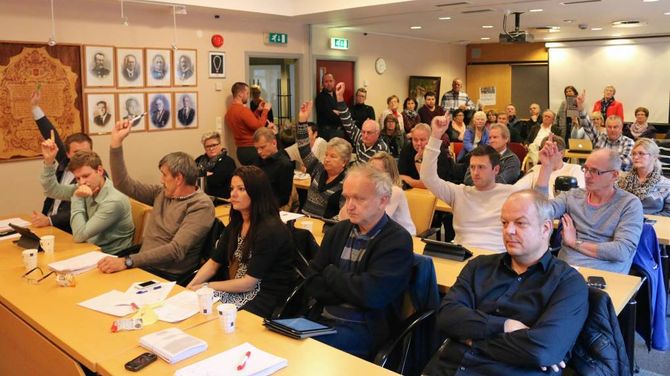 NI MOT TOLV: Slik såg røystinga ut. På biletet ser ein dei ni som røysta mot eit felles helsehus.