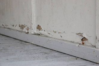 STORE SKADAR: I paviljongen kan ein tydeleg sjå at han har fått har medfart sidan han stod klar i 1985.