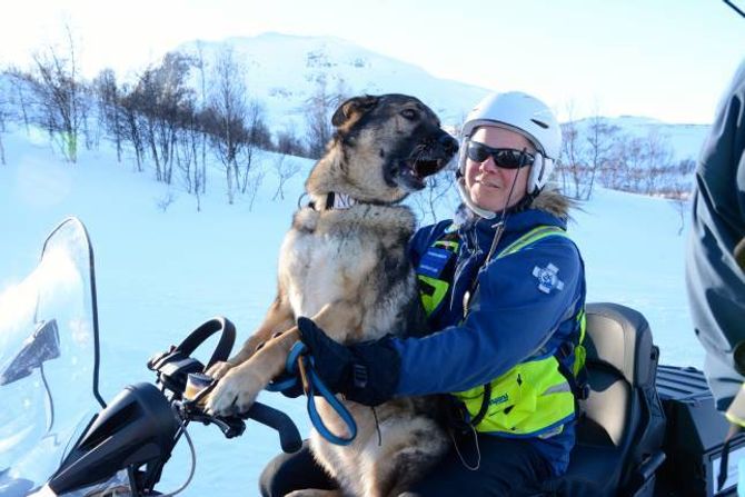 HUND ETTER SKUTER: Knut Skår er øvingsleiar under veka på Tyin. Saman med Mick Sheard adinistrerar dei arbeidet som går føre seg i fjellet. Skuter har dei lånt av Norsk Folkehjelp i Årdal, då det sparar tid når dei skal koma seg fram i fjellet og fordi det er viktig at hundane er vant til dette transportmiddelet når dei blir kalla ut til ulykker.