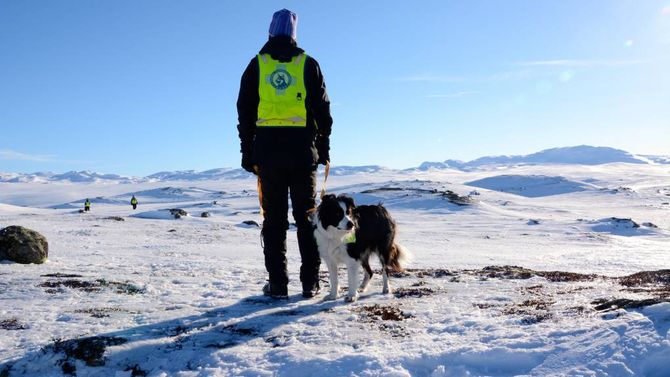 ALLTID PÅ VAKT: Ein godkjend hundeførar og lavinehund kan få telefon om å rykke ut 24 timar i døgnet. Det gjeld å koma til rasstaden tidleg, då tida er kritisk.
