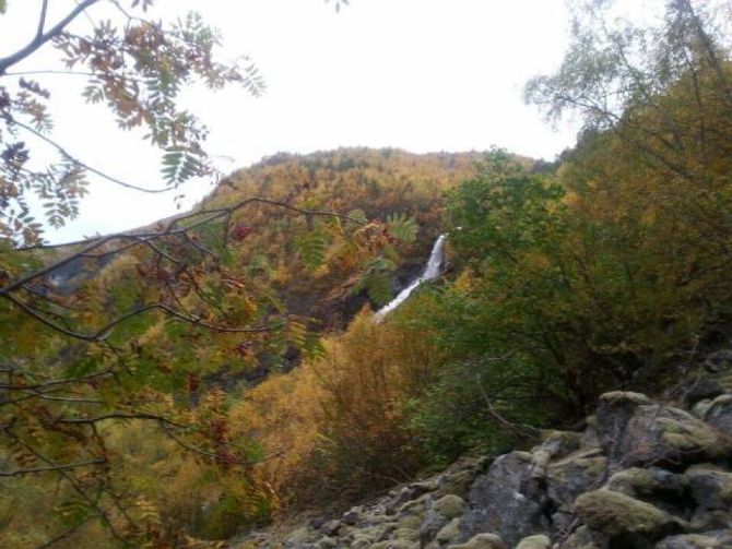 AVDALSFOSSEN I DAG: Sjølv om ikkje Avdal Gard er bemanna enno, er det eit eldorado av stiar og fargar å gå i i denne flotte hausten me har no.