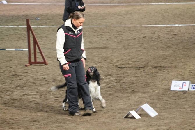 FERSK SPORT: Det er første gongen Spanielklubben i Sogn og Fjordane arrangerer Rallylydighet, og staden vart Ridehallen i Seimsdalen.