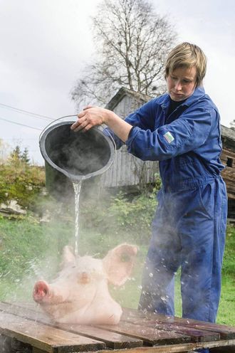 SLAKTING: Det var Linda Eide som tok med kokken Hanne Frosta på slakting av gris for første gong, grisar som hadde levd glade dagar i Gamlevegen på Voss Bilete frå boka: Thor Brødreskift