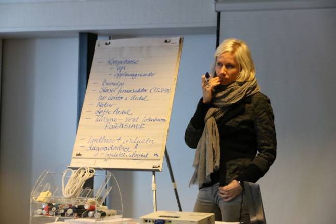 BREI FORANKRING: Ingrid Kvande fortel at dei tidleg i arbeidet går breitt ut blant folk i Årdal for å samle innspel til næringsplanen. Etter kvart skal dette spissast inn.