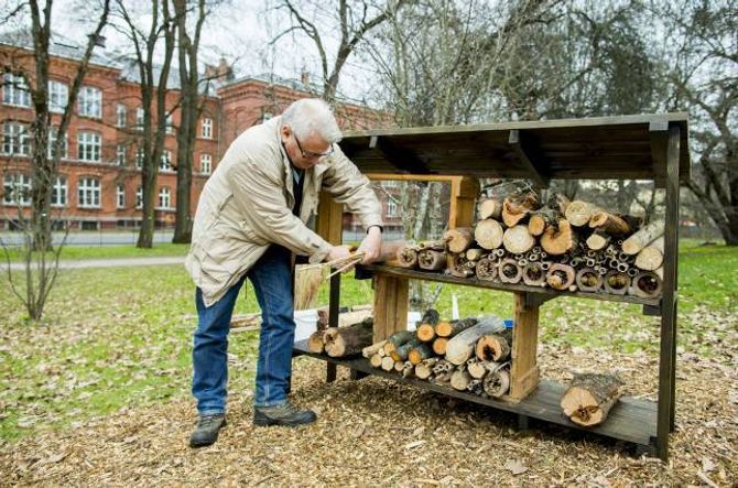 ROMSLEG: Lars Ove Hansen lagar insekthotell med plass til hundrevis av bebuarar – men roar med at du kjem langt med berre ein bunt hole strå med ståltråd rundt.