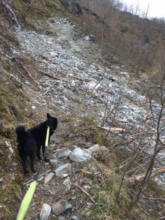RAST UT: Solem seier det har havna eit tjukt lag med grus og stein over stigen.
