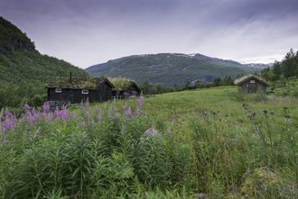 FOR ALLE: Turane er for den som vil gå dagstur, eller den som vil gå litt kortare turar.