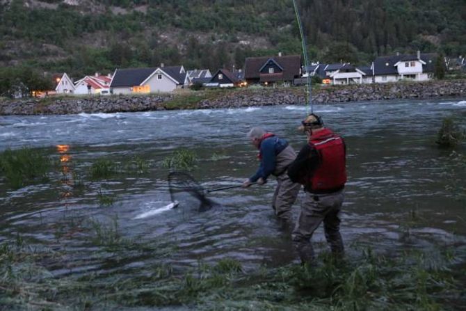 FANGST: Lars Petter Forbeg assisterer Thomas Hjermann då dei skulle få laksen opp på land. Foto Camilla Skjær Brugrand.