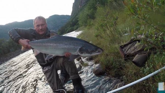 <strong>Håvar:
