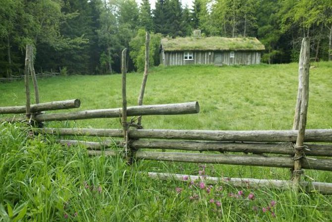 TRADISJONSRIKT: Skigarden er ein av dei eldste gjerdetypane i Norge, og lever godt også i dag.