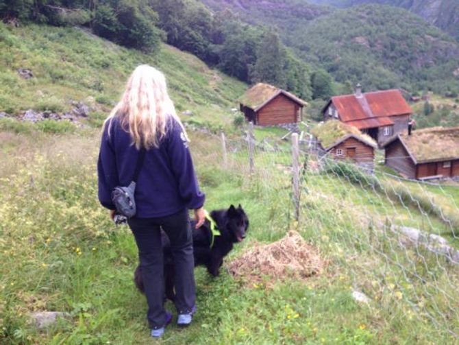 VIKTIG ARBEID: Det er skjøtselarbeidet som har gjort Avdalen til den perla det er. Privat foto