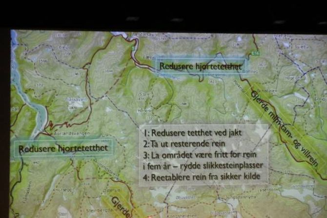 DRASTISK: Her er gangen i tiltaket Bjørnar Ytrehus vil vera det fagleg beste; å først redusera villreinstamma ved intensiv jakt i ein viss periode, så sanera ned heile stamma, deretter lata området liggja brakk i ein del år, for så å reetablera stamma. Som ein ser av plansjen meiner han også det bør vurderast å redusera tilgrensande hjortestammar.