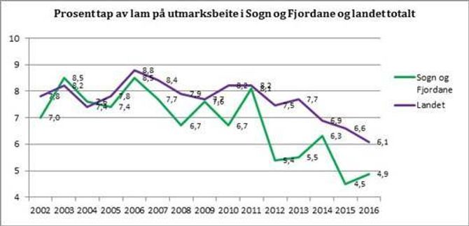 NEDGANG: For fylket generelt har tapet av lam stort sett gått ned sidan 2011. Tapa gjekk noko opp i 2014, då mellom anna jerv tok mykje sau i fjella mellom Årdal og Lærdal, og det er ein liten oppgang i 2016 i høve 2015. Diagram: Fylkesmannen i Sogn og Fjordane