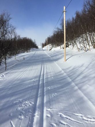GODE TILHØVE: Eit lite lag nysnø har lagt seg i dei nypreppa løypene, noko som ifølgje Thomas Hjermann gjer tilhøva framifrå. Privat foto