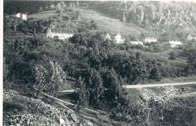 VIKTIGE VEGVISARAR: Forsøksøksgardane har i snart 100 år vore viktige rådgjevarar og kunnskapsformidlarar for fruktdyrkarane. Her Njøs forsøksgard i Leikanger i Sogn. Foto frå boka / Finn Måges arkiv.