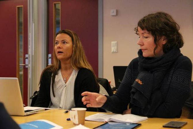 LURTE IKKJE MDG: Gruppeleiar for Arbeidarpartiet, Marie Helene Hollevik Brandsdal, avviser at dei lurte Miljøpartiet Dei Grøne inn i eit samarbeid.