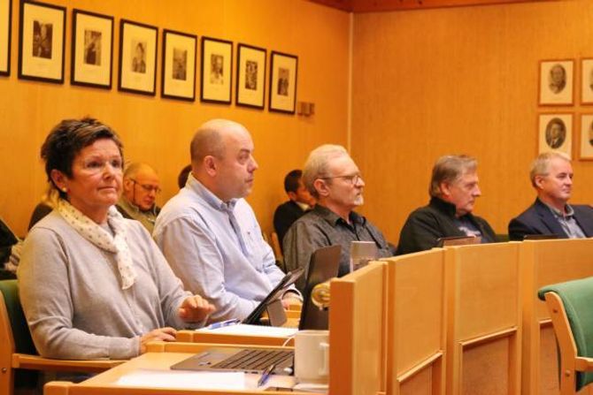 STEMTE ULIKT: Inger Bakken ville utsetja deler av prosjektet, men resten av Ap-gruppa stemte for rådmannen si tilråding som inneber ombygging ved Lærdal bu- og omsorgsheim for knapt 71 millionar. Frå Inger Bakken mot høgre: Audun Mo, Leif Aasen, Kristen Olav Grøttebø og Kåre Mentz Lysne.