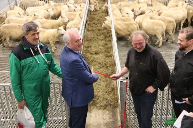 OFFISIELT: Ordførar Jan Geir Solheim stod for den offisielle opninga av sauefjøsen med kapasitet på 242 vinterfôra sau, Ole Magne Skårheim sjølv til høgre for han. Styreleiar i prosjektet «Sau og utmark» Erling Offerdal heilt til venstre og Bjørn Havro, representant i kommunestyret i Årdal (Sp), heilt til høgre.