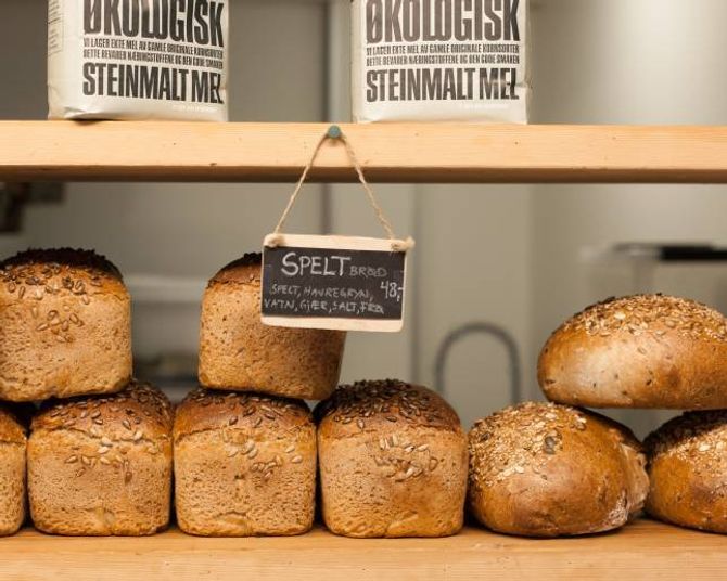 Speltbrøda til Marianne er laga av spelt og havregryn, slik at mange som slit med gluten og kveite kan ha glede av dei.