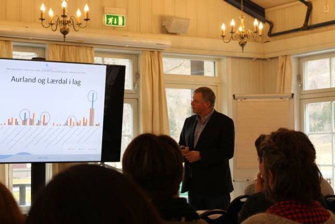 ULIKT: Ringen nest lengst til høgre syner korleis verdiskapinga er innan forretningsbaserte tenesteytingar; Aurland er den høge søyla til venstre i ringen, landssnittet den gule til høgre. Søyla for Lærdal er mellom desse og har blå farge, men den er så liten at den knapt synest.