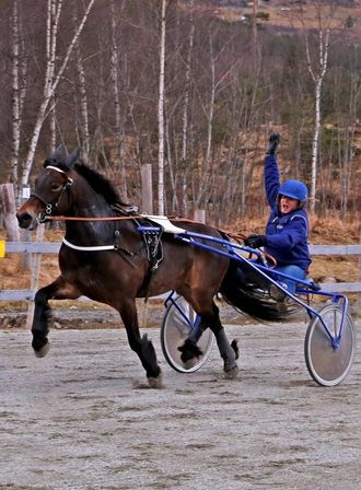 HESTESAMLING: Det var ein stor samling på 30 hestar som møtte til løp.