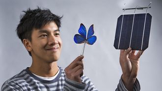 Forsker Kevin Le holder opp Morpho Didius og en solcelle.