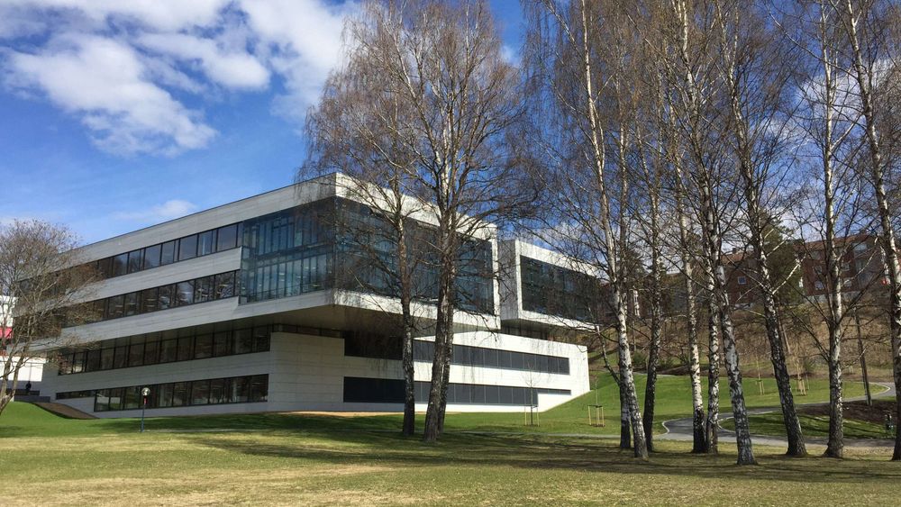 I DNV GL sine kontorlokaler på Høvik i Bærum er det ikke nødvendig å klatre oppover, for å gjøre utvikle karriereløpet sitt.