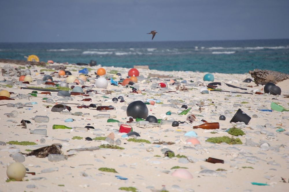 Plast og annet søppel vasket opp på en strand på øya Laysan i vilreservatet Hawaiian Islands National Wildlife Refuge.