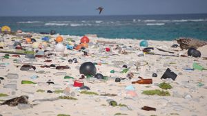 Strand_Plastsoppel.300x169.jpg