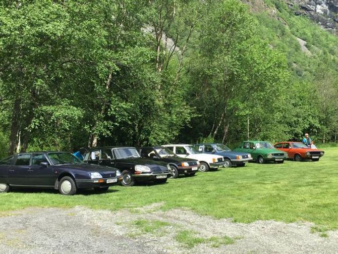 IDYLLISK: Sju av dei franske bilane samla i idylliske omgjevnader i Utladalen. Privat foto