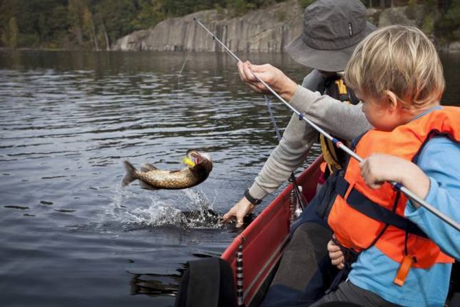 FISKESPRETT: Mellom 1. januar og 20. august kan barn fiske overalt i ferskvatn gratis, unntatt i elvar som har laks, sjøaure og sjørøye. Mor og far må kjøpe fiskekort.