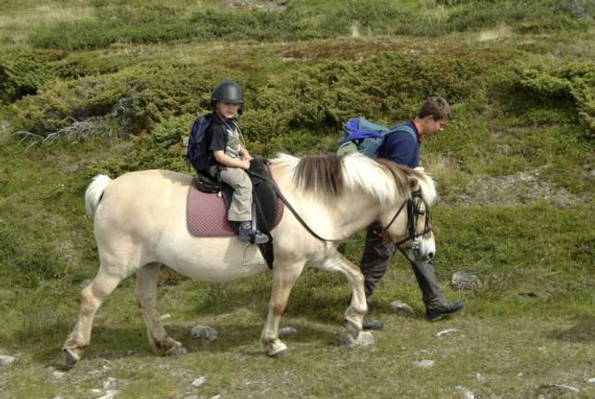 HESTEDILLA: Mange aktørar tilbyr korte eller lange rideturar i fjellet for ryttarar på ulikt nivå.