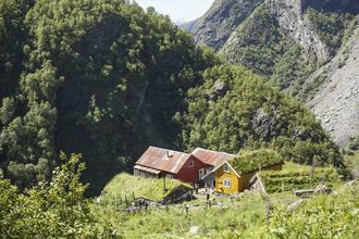 OPEN STØL: Søndag 9. juli er det open støl på Sinjarheim der besøkjande kan prøva seg på mjølking, ysting og brunostforming.