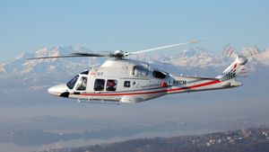 aw169-1.300x169.jpg