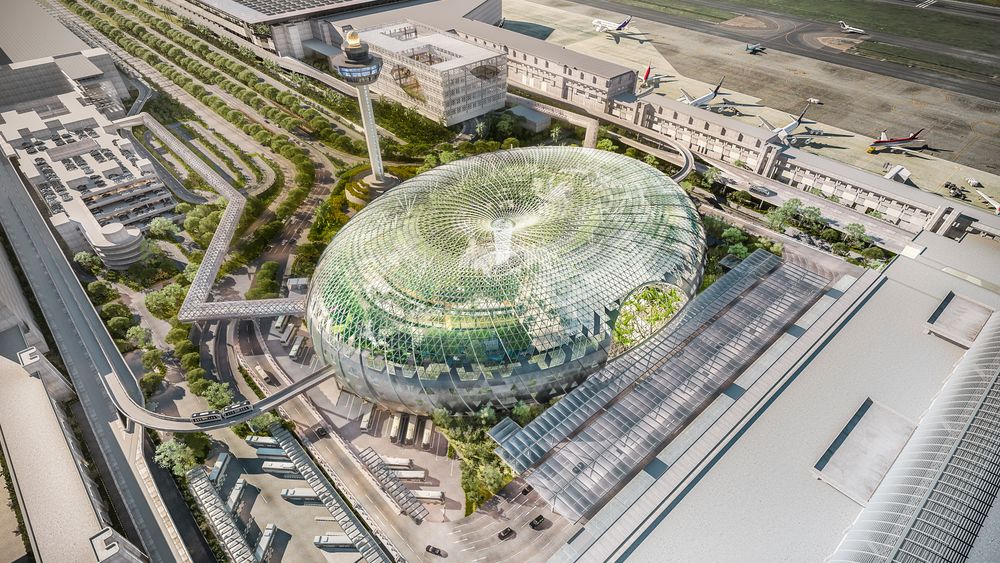 For å forsvare kåringen som verdens beste flyplass jobbes det med utviklingen av en helt ny flyplassterminal, som minner mer om en botanisk hage enn en avgangshall, på Changi International Airport i Singapore.