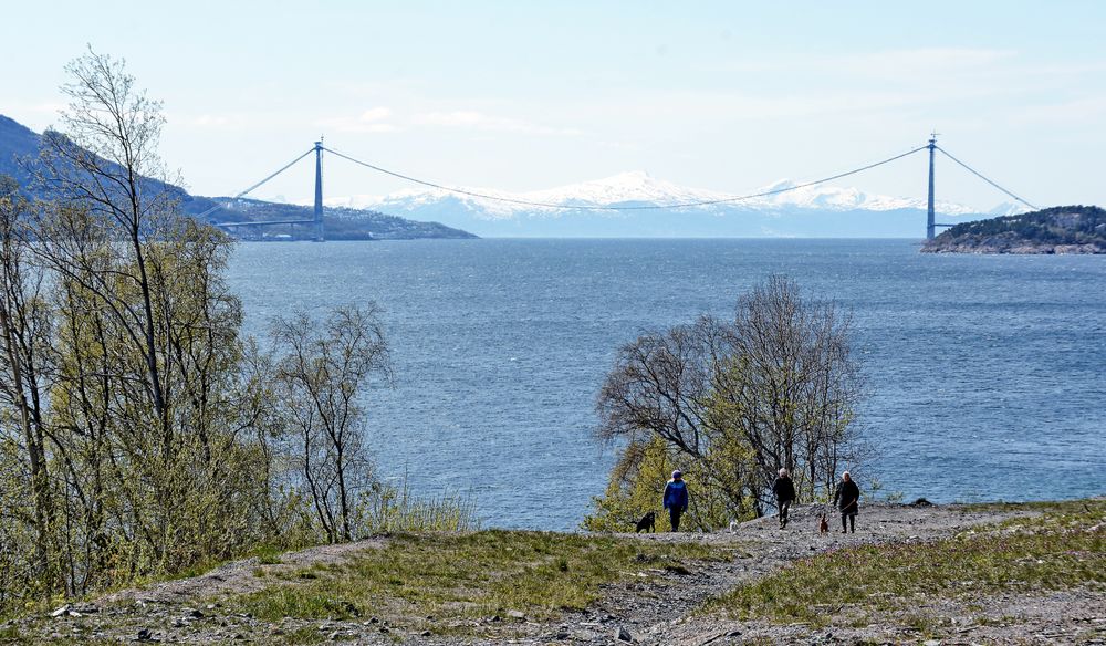 Her er det fin utsikt over den halvferdige Hålogalandsbrua, men fra utkiksplassen som skal etableres vil man se brua fra en helt annen vinkel.