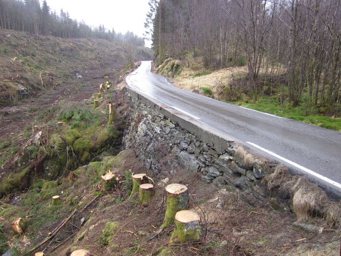 Eksempel 1. Fv 402 i Lindås kommune. Svært lav støpekant og bratt skråning/mur på utsiden av fylkesvegen.