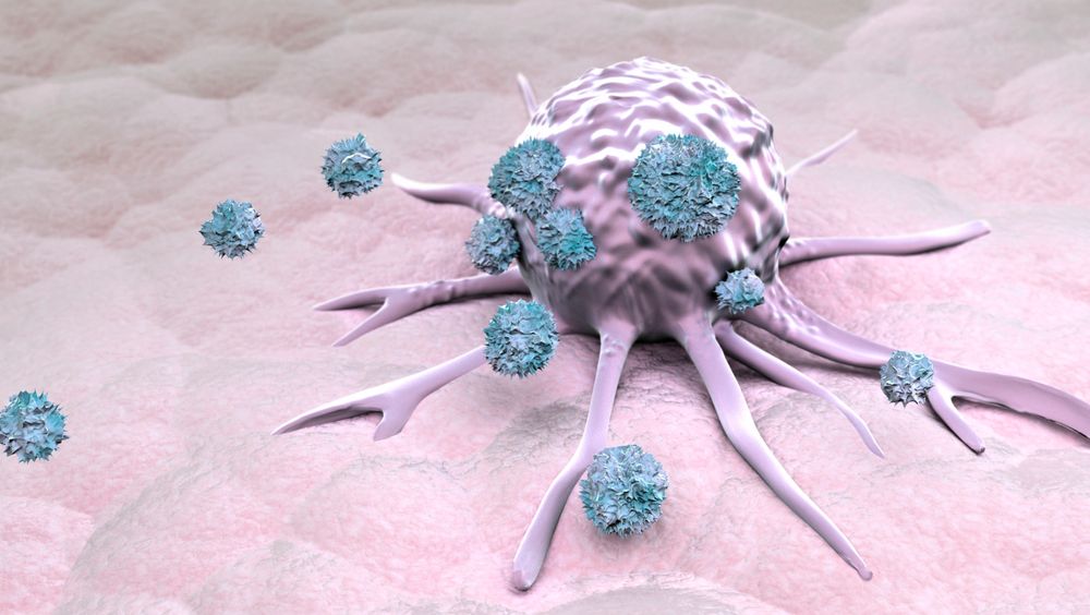 Illustrasjon av en kreftcelle som blir angrepet av en type hvite blodceller, som er en del av kroppens eget forsvarssystem. I framtiden håper forskerne å knuse kreftceller innenfra ved hjelp av grunnstoffet astat.