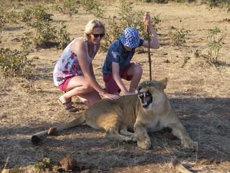 Afrikasafari: Irene og sønnen Stian klapper en tam løveunge i Zimbabwe. Familien rakk innom fem land i sommer.