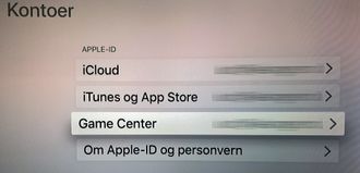 I innstillingsmenyen kan du logge deg på ulike tjenester med Apple ID-en din.