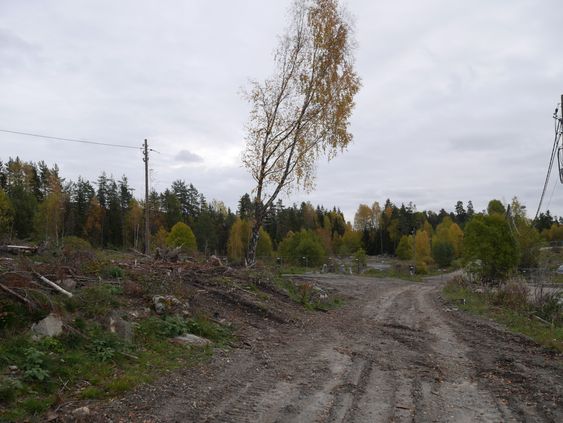 MYE HAR SKJEDD: Her på Trelasttomta er alle de gamle bygningene revet, og her skal det bygges boliger.