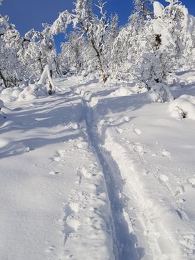 VINTERIDYLL: Slik såg det ut då Terje Solheim frå Årdal tok turen til Bjødnaholten i helga.