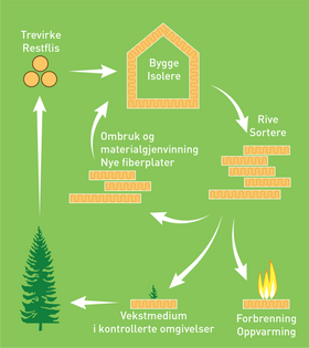 Trær tar opp og lagrer karbon når de vokser. Et 70 år gammelt grantre inneholder ca. 1.180 kg karbon som tilsvarer 4.300 kg CO2. Først når treet dør og råtner slippes CO2 gradvis ut igjen.