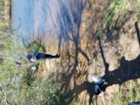 Slike bilder fører feilen til hos brukerne som er rammet av feilen. Bildet er hentet fra Samsungs brukerforum.