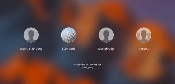 Ved å klikke «Annen...» kan du logge deg inn som rotbruker på en hvilken som helst datamaskin med macOS High Sierra.